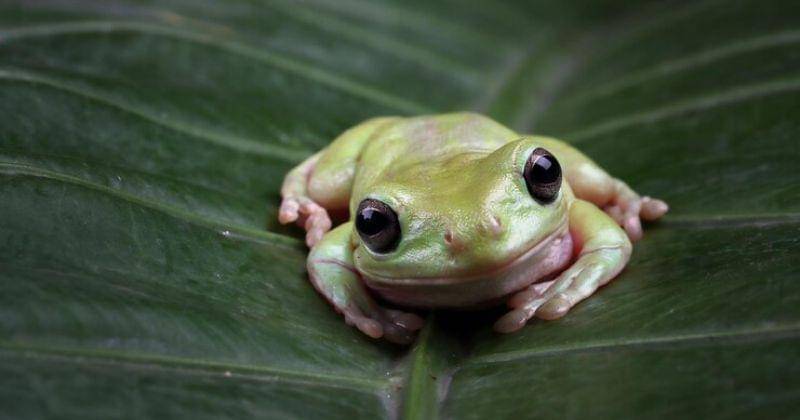 Freepik/kuritafsheen77